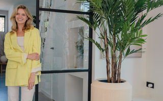 Tendencias 2024 en plantas artificiales para el hogar y oficina