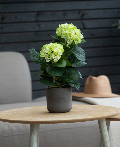 La hortensia artificial verde UV de 35 cm con flores de color verde claro se encuentra sobre una mesa redonda de madera. Detrás hay una silla gris con cojines y un sombrero beige sobre una manta clara.