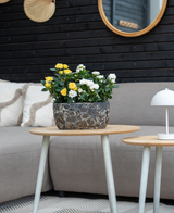 Detrás de una mesa auxiliar de madera se encuentra un sofá gris con cojines beige y la planta artificial Mini Rose UV 35 cm amarilla; una pequeña lámpara blanca se encuentra sobre una mesa más pequeña, con espejos de pared y decoración al fondo.