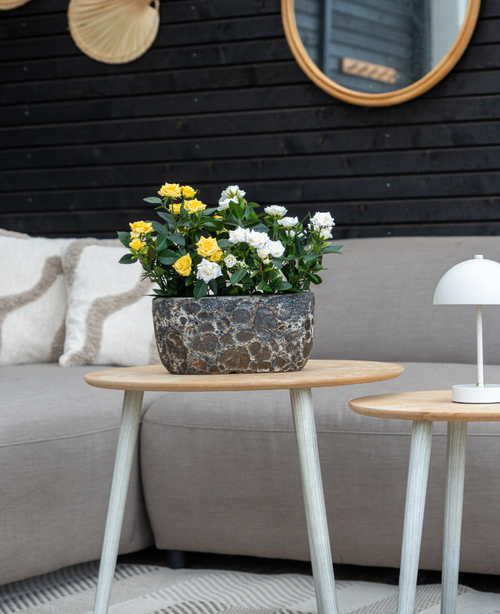 Detrás de una mesa auxiliar de madera se encuentra un sofá gris con cojines beige y la planta artificial Mini Rose UV 35 cm amarilla; una pequeña lámpara blanca se encuentra sobre una mesa más pequeña, con espejos de pared y decoración al fondo.