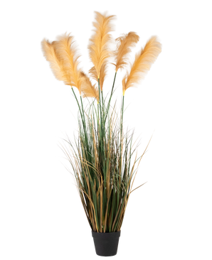 Una maceta negra contiene Hierba de Pampa Artificial de 150 cm retardante de fuego, con césped artificial verde alto y penachos de color marrón amarillento dispuestos para una apariencia decorativa natural.