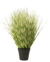 La planta de césped artificial Zebra de 55 cm tiene hojas largas, finas y abigarradas de color verde y blanco, parecidas a la hierba, en una sencilla maceta negra, sobre un fondo blanco liso.