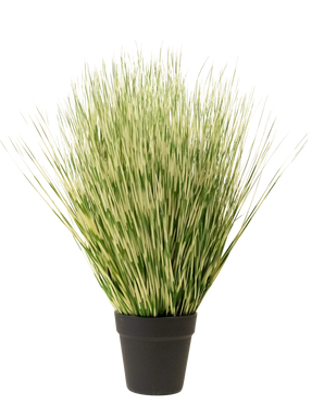 La planta de césped artificial Zebra de 55 cm tiene hojas largas, finas y abigarradas de color verde y blanco, parecidas a la hierba, en una sencilla maceta negra, sobre un fondo blanco liso.