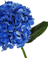 Un primer plano de la flor artificial Charlotte Hortensia Real Touch en azul oscuro (55 cm), que presenta una flor de hortensia artificial de color azul vibrante con hojas y tallo verdes, sobre un fondo blanco.