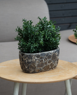 La Planta Artificial Boj Estilo Romano UV 36cm, una pequeña planta artificial de hojas verdes en una jardinera de piedra con estructura, se alza sobre una mesa redonda de madera clara con un sofá beige y una pared de madera oscura al fondo.