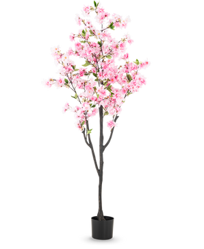 La flor de cerezo artificial rosa de 180 cm tiene flores rosas y hojas verdes en una pequeña maceta negra, sobre un fondo blanco liso.