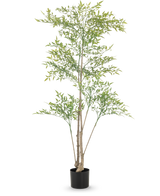 El Ruscus artificial de 150 cm tiene ramas largas y delgadas y hojas de color verde claro en una maceta negra sobre un fondo blanco - ideal como decoración interior para cualquier habitación.