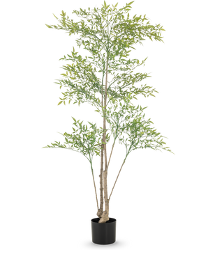 El Ruscus artificial de 150 cm tiene ramas largas y delgadas y hojas de color verde claro en una maceta negra sobre un fondo blanco - ideal como decoración interior para cualquier habitación.