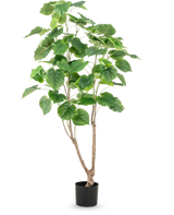 La Planta Artificial Ficus 150 cm tiene múltiples tallos delgados de color marrón y hojas verdes grandes y anchas, presentadas en una maceta alta sobre un fondo blanco liso.