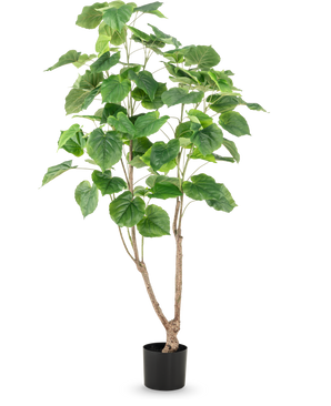 La Planta Artificial Ficus 150 cm tiene múltiples tallos delgados de color marrón y hojas verdes grandes y anchas, presentadas en una maceta alta sobre un fondo blanco liso.