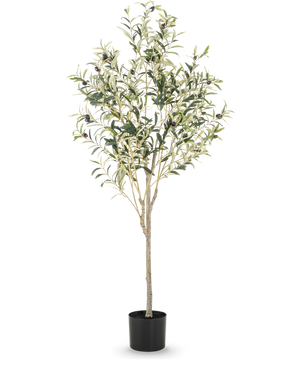 El Olivo Artificial 150 cm tiene ramas esbeltas y hojas verdes con pequeñas aceitunas negras en una sencilla maceta negra, ideal para añadir un ambiente mediterráneo a cualquier estancia.