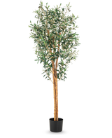 El Olivo artificial UV 160 cm es un olivo artificial alto con ramas esbeltas, hojas verdes y un tronco con una estructura realista en una sencilla maceta negra sobre un fondo blanco.