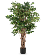 La planta artificial Ficus Liana de 120 cm tiene troncos marrones trenzados y exuberantes hojas verdes en una maceta negra, lo que la convierte en una opción elegante para cualquier colección de ficus o exhibición de plantas de oficina.