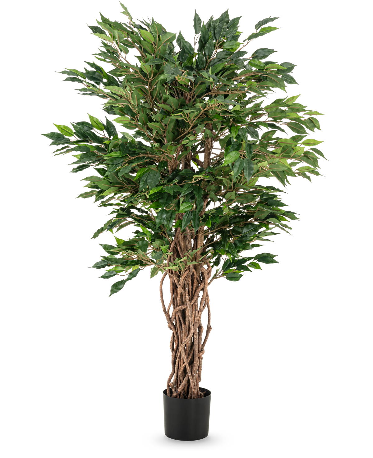 La planta artificial Ficus Liana de 120 cm tiene troncos marrones trenzados y exuberantes hojas verdes en una maceta negra, lo que la convierte en una opción elegante para cualquier colección de ficus o exhibición de plantas de oficina.
