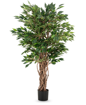 La planta artificial Ficus Liana de 120 cm tiene troncos marrones trenzados y exuberantes hojas verdes en una maceta negra, lo que la convierte en una opción elegante para cualquier colección de ficus o exhibición de plantas de oficina.