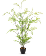 El helecho artificial de 120 cm tiene tallos largos y delgados y hojas pequeñas y finas de color verde, elegantemente dispuestas en una maceta sobre un fondo blanco liso: una planta de interior ideal y de fácil cuidado para su interior.