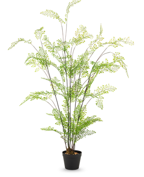 El helecho artificial de 120 cm tiene tallos largos y delgados y hojas pequeñas y finas de color verde, elegantemente dispuestas en una maceta sobre un fondo blanco liso: una planta de interior ideal y de fácil cuidado para su interior.