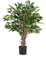 La planta artificial Ficus Liana de 90 cm tiene troncos retorcidos de color marrón y densas hojas verdes en una maceta negra, ideal como planta de oficina o para cualquier colección de ficus, representada sobre un fondo blanco.