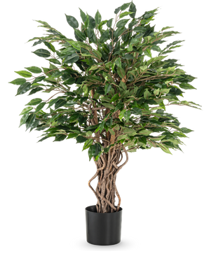 La planta artificial Ficus Liana de 90 cm tiene troncos retorcidos de color marrón y densas hojas verdes en una maceta negra, ideal como planta de oficina o para cualquier colección de ficus, representada sobre un fondo blanco.