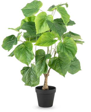 La Planta Artificial Ficus 60 cm tiene hojas grandes, verdes, en forma de corazón y un tallo estructurado en una sencilla maceta de plástico negro, sobre un fondo blanco.