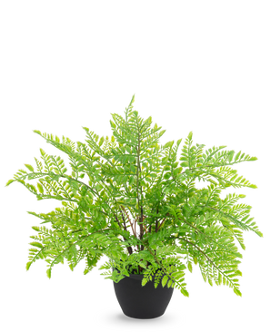 El helecho artificial de 35 cm en maceta decorativa negra tiene hojas de helecho realistas y de un verde claro como una pluma en una elegante maceta decorativa negra, sobre un elegante fondo blanco.