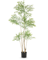 La Planta Artificial Ruscus 180 cm es una planta artificial alta con múltiples troncos esbeltos y abundantes pequeñas hojas verdes, expuesta en una sencilla maceta negra sobre un fondo blanco.