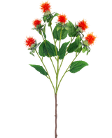 La flor artificial Cártamo de 79 cm naranja tiene un solo tallo con múltiples ramas, cada una con tenues flores de color rojo anaranjado y amarillo con hojas verdes, sobre un fondo blanco.