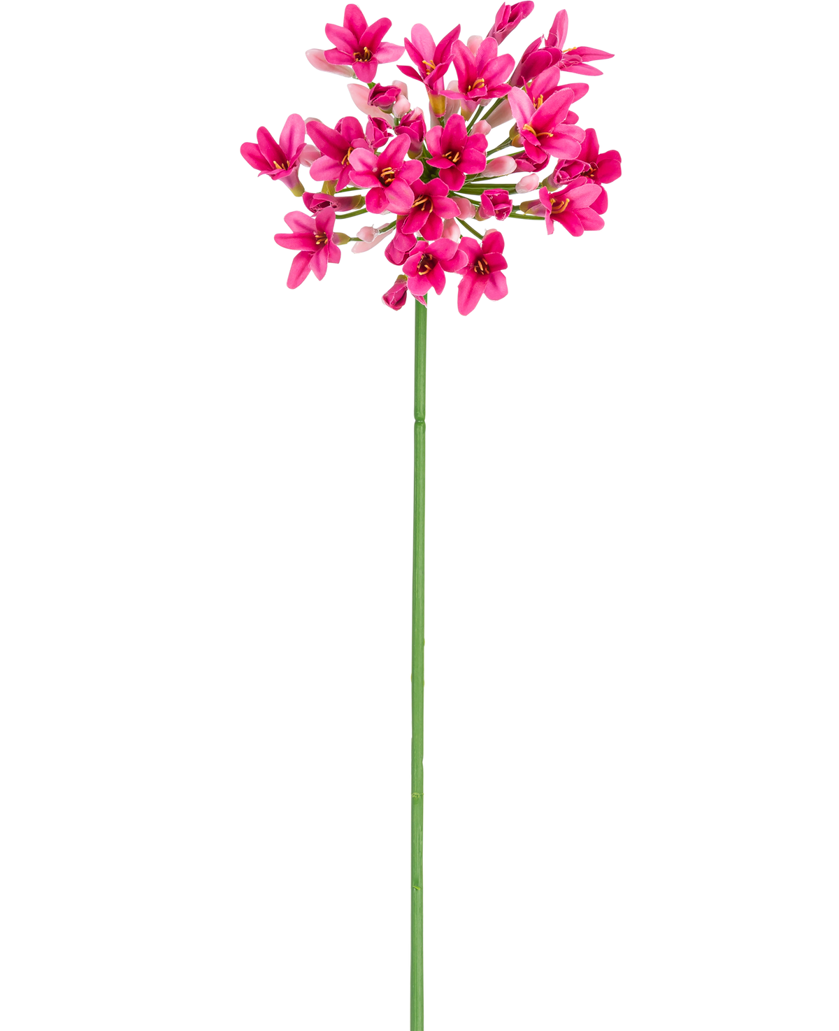 La flor artificial Agapanthus 77 cm rosa tiene un único tallo verde con múltiples ramos de flores de color rosa brillante, cada una con múltiples pétalos, sobre un fondo blanco liso.
