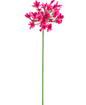 La flor artificial Agapanthus 77 cm rosa tiene un único tallo verde con múltiples ramos de flores de color rosa brillante, cada una con múltiples pétalos, sobre un fondo blanco liso.