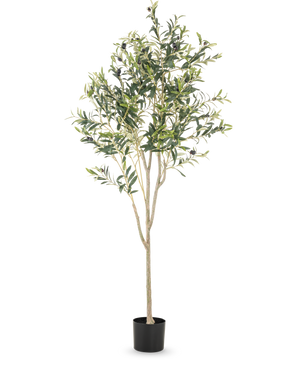 El olivo artificial de 180 cm presenta múltiples ramas delgadas y hojas verdes en una sencilla maceta negra, sobre un fondo blanco liso: un acento decorativo elegante para cualquier habitación.