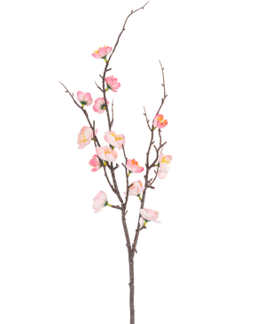 La Rama Artificial Prunus 78 cm rosa tiene una sola rama de color marrón oscuro con brotes más pequeños, decorada con flores de cerezo rosas y blancas y capullos verdes, sobre un fondo blanco liso.