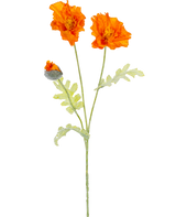 Una ilustración botánica de la flor artificial de amapola de 73 cm naranja muestra dos flores naranjas abiertas y un capullo cerrado sobre largos tallos verdes con hojas de color verde claro y profundamente lobuladas.
