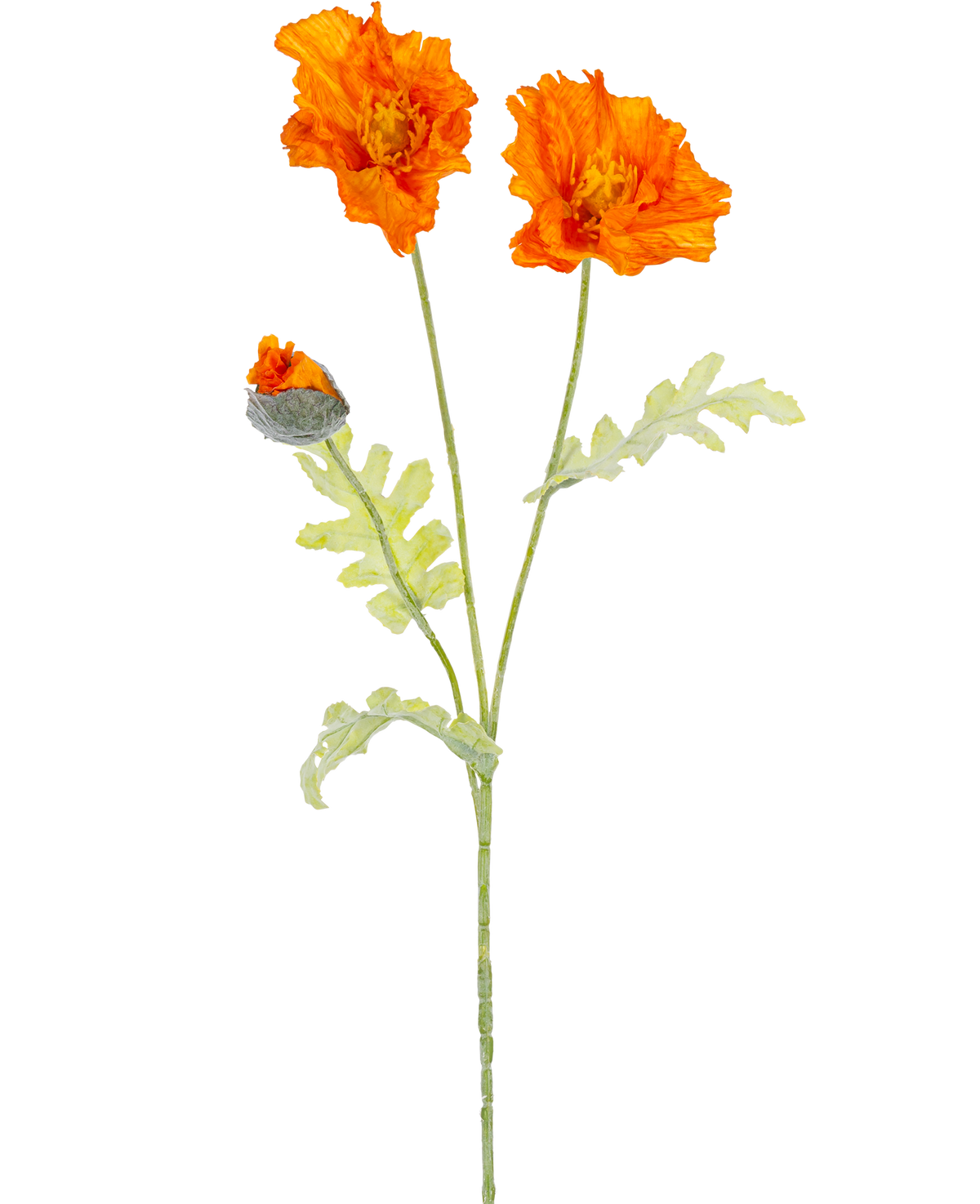 Una ilustración botánica de la flor artificial de amapola de 73 cm naranja muestra dos flores naranjas abiertas y un capullo cerrado sobre largos tallos verdes con hojas de color verde claro y profundamente lobuladas.