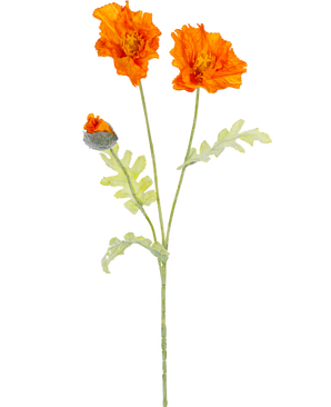 Una ilustración botánica de la flor artificial de amapola de 73 cm naranja muestra dos flores naranjas abiertas y un capullo cerrado sobre largos tallos verdes con hojas de color verde claro y profundamente lobuladas.