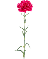 El clavel floral artificial de 69 cm de color rosa duro tiene un único clavel rosa brillante con volantes en los pétalos, un largo tallo verde y hojas delgadas sobre un fondo blanco liso.