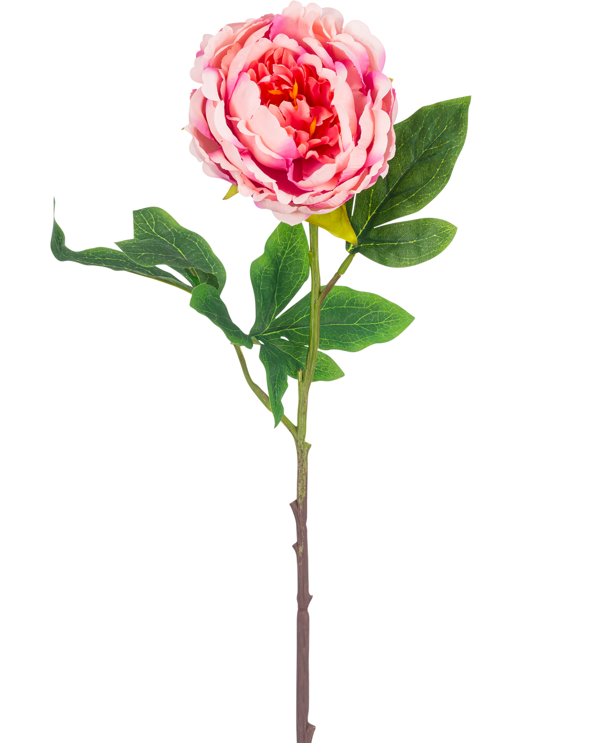 La Flor Artificial Peonía 61 cm rosa tiene una única peonía rosa con exuberantes hojas verdes y un largo tallo marrón, aislada sobre un fondo blanco.