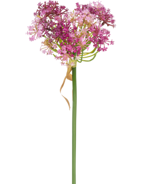 La flor artificial Allium 60 cm violeta tiene un tallo verde alto con un racimo en forma de corazón de pequeñas flores rosas y violetas, acentuado por una hoja delgada y seca de color marrón claro que se asienta holgadamente alrededor del tallo, sobre un fondo blanco.