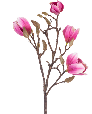 La flor artificial Magnolia 50 cm rosa es una rama de magnolia artificial marrón con varias flores rosas y blancas y capullos esponjosos, representados sobre un fondo blanco.