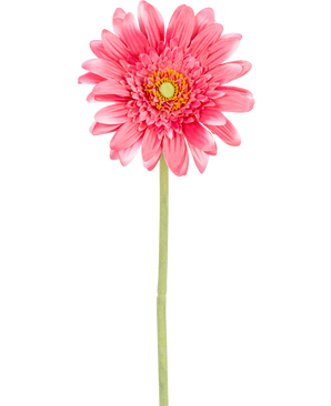 Flor de Gerbera artificial de 55 cm de color rosa, con núcleo amarillo y acero verde, aislada sobre fondo blanco.