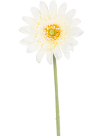 La flor artificial Gerbera 53 cm blanca tiene una única flor blanca parecida a una margarita con pétalos en capas, un corazón de color amarillo verdoso y un largo tallo verde sobre un fondo blanco.