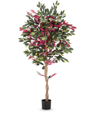 Sobre un fondo blanco liso se alza una planta artificial ignífuga Ficus verde/rojo de 180 cm, con un tronco retorcido y hojas verde-rojas en una maceta negra.