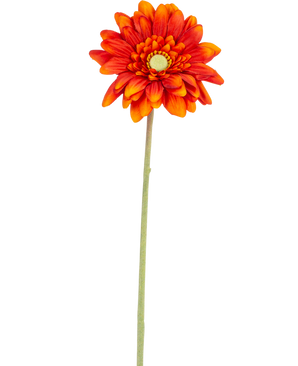 La Flor Artificial Gerbera mini 47 cm naranja suave es una margarita artificial con pétalos en capas, un corazón amarillo y un largo tallo verde, aislada sobre un fondo blanco.