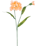 El clavel artificial de color melocotón de 40 cm es un clavel artificial de color melocotón claro con hojas verdes y un pequeño capullo sin abrir, representado sobre un fondo blanco.