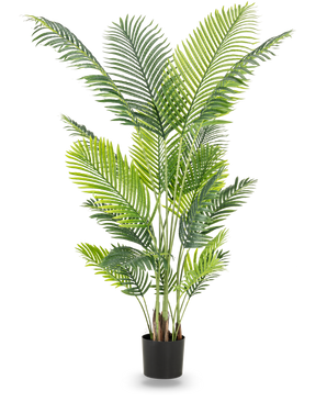 La Planta Artificial Phoenix 180 cm es una planta artificial alta con exuberantes hojas verdes en una maceta negra que añade un ambiente tropical a cualquier habitación. En la foto sobre un fondo blanco liso.