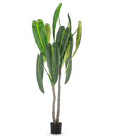 La planta artificial Anthurium de 210 cm tiene hojas altas y de un verde exuberante y dos tallos marrones en una pequeña maceta negra, sobre un sencillo fondo blanco.