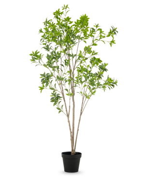 La Planta Artificial Pieris Japonica 210 cm tiene múltiples tallos esbeltos de color marrón y abundantes hojas verdes, presentada en una maceta alta sobre un fondo liso blanco.
