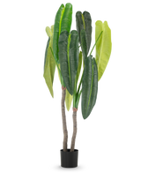 La Planta Artificial Anthurium 180 cm tiene dos tallos marrones y hojas grandes y alargadas de color verde en diferentes tonalidades, en una pequeña maceta negra sobre un fondo blanco.