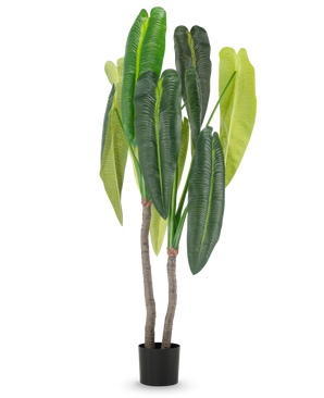 La Planta Artificial Anthurium 180 cm tiene dos tallos marrones y hojas grandes y alargadas de color verde en diferentes tonalidades, en una pequeña maceta negra sobre un fondo blanco.