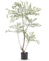 El Ruscus Artificial 120 cm es una planta artificial alta y esbelta con ramas largas y delgadas con muchas hojas pequeñas de color verde. Se coloca en una sencilla maceta negra y aporta un verdor realista a cualquier habitación sin necesidad de mantenimiento.
