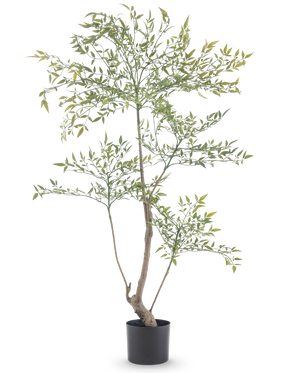 El Ruscus Artificial 120 cm es una planta artificial alta y esbelta con ramas largas y delgadas con muchas hojas pequeñas de color verde. Se coloca en una sencilla maceta negra y aporta un verdor realista a cualquier habitación sin necesidad de mantenimiento.